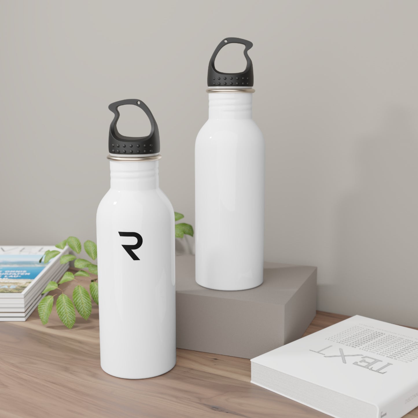 Stainless Steel Water Bottle